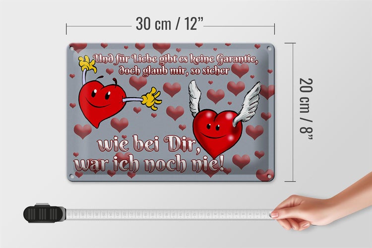 Blechschild Spruch 30x20cm Für Liebe gibt's keine