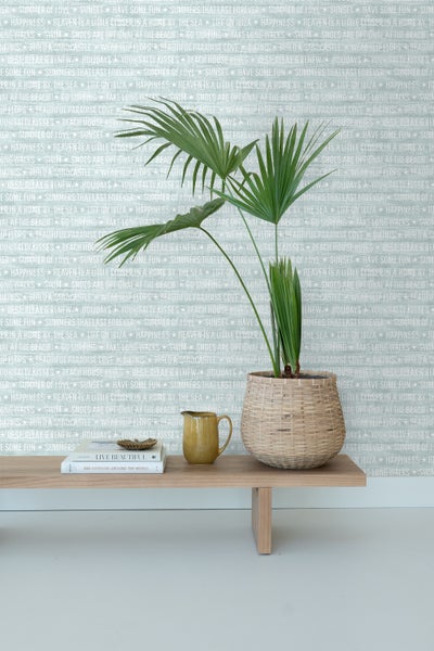 Dekorative Zimmerpflanze in geflochtenem Korb auf einem Tisch, neben einer gelben Kanne und einem Buch