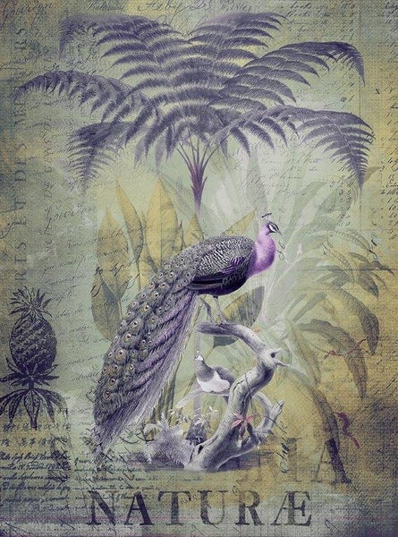 Wandbild im Vintage-Stil mit einem Pfau auf einem Ast, tropischen Pflanzen, Farnen und historischer Handschrift.