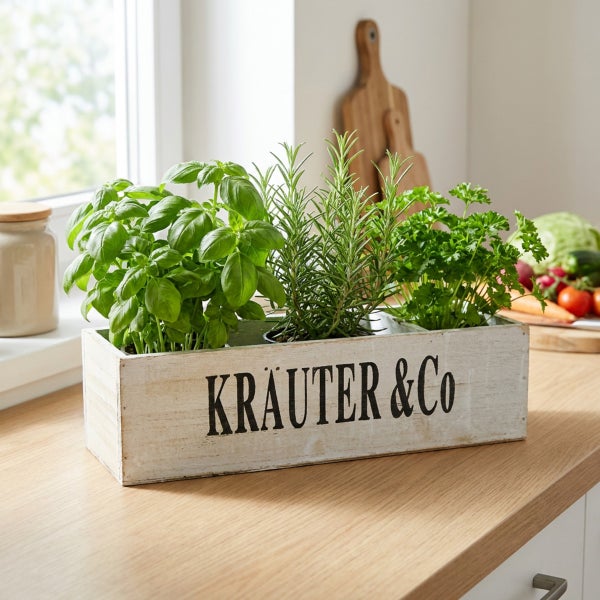 Holzkasten für Kräuter mit Aufschrift Kräuter und Co auf einer Arbeitsplatte in einer Küche stehend