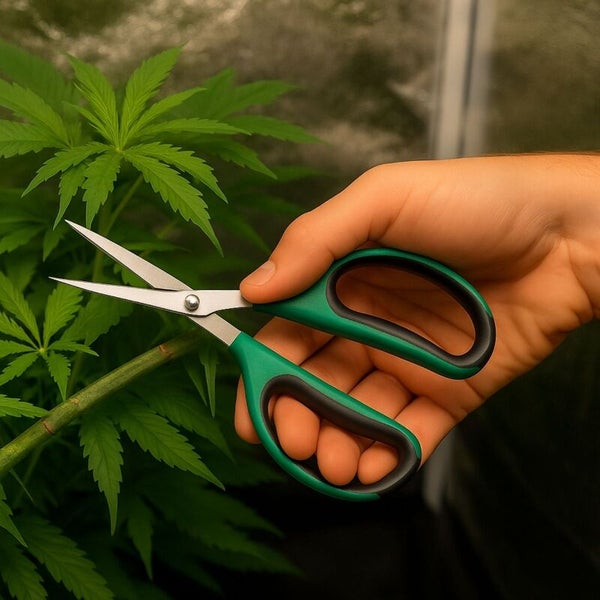 Gartenschere mit Kunststoffgriff und Stahlklingen schneidet Blätter