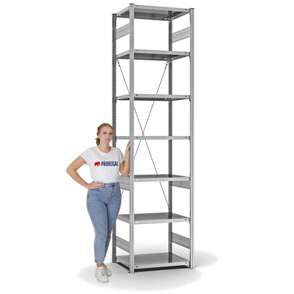 PROREGAL Fachbodenregal Stecksystem T-Profil Light-Duty Grundregal HxBxT 300 x 75 x 50 cm 7 Ebenen Fachlast 140 kg Einseitig Nutzbar Verzinkt