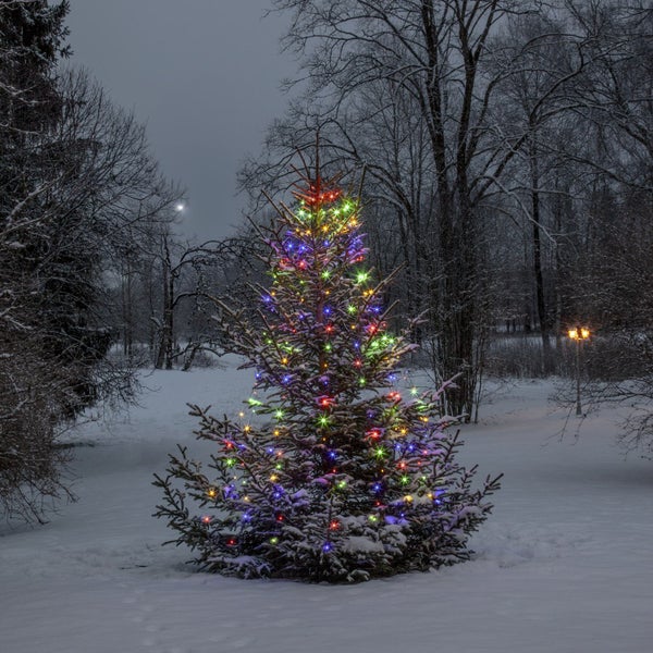 Verschneiter Weihnachtsbaum im Freien mit mehrfarbiger Beleuchtung in einem Garten.
