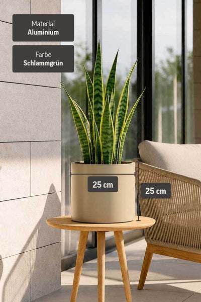 Zylindrischer Aluminium-Pflanztopf in Schlammgrün, Durchmesser 25 Zentimeter und Höhe 25 Zentimeter, mit einer Bogenhanf-Pflanze auf einem Holztisch.