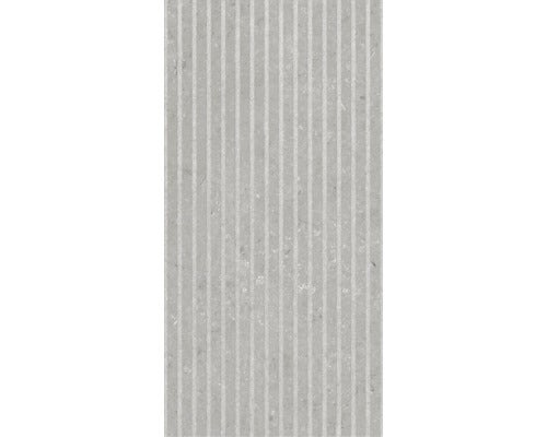 Dekorfliese Rigat-one Shellstone grigio 60x120cm