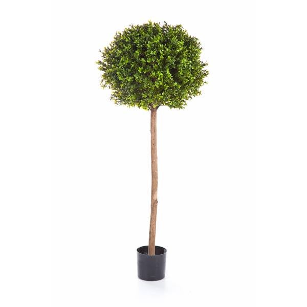 Künstlicher Buchsbaumkugelbaum auf Stamm im schwarzen Kunststofftopf.