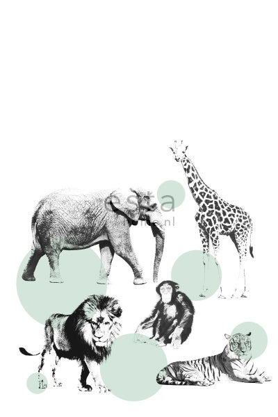 Illustration mit Elefant, Löwe, Schimpanse, Tiger und Giraffe