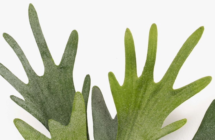 Künstliche Agave Kunstpflanze in weißem Topf mit Zierkies.