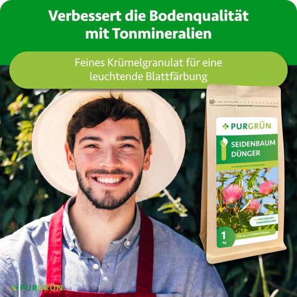 Ein lächelnder Mann mit Strohhut neben einer 1 Kilogramm Packung Purgrün Seidenbaum Dünger. Text zu Bodenqualität und Blattfärbung. Purgrün Logo.