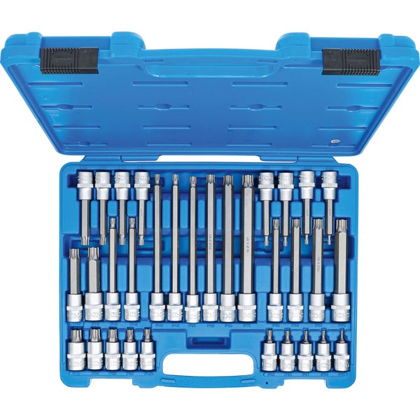 Innen-Torx-Bit-Satz mit verschiedenen Größen in einem blauen Koffer