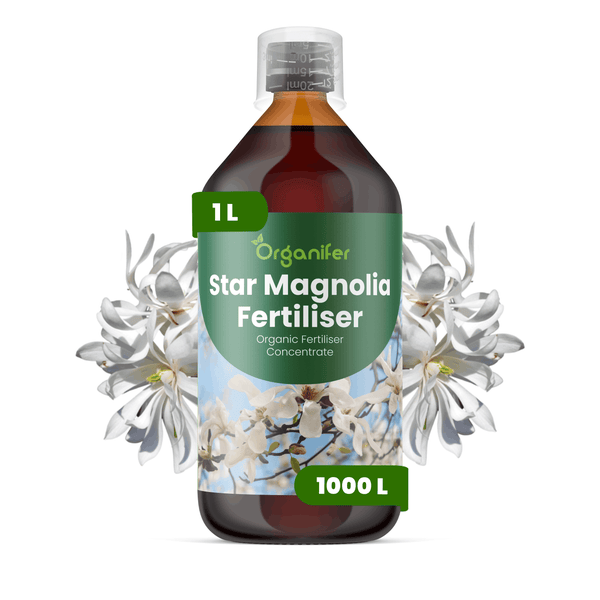 Organifer Logo, Sternmagnolie Dünger, 1 Liter Flasche, organisches Flüssigdünger Konzentrat für 1000 Liter, mit Messbecher.
