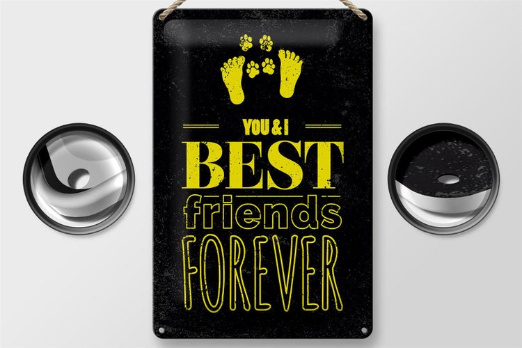 Blechschild Spruch Freunde You I best friends forever 20x30cm