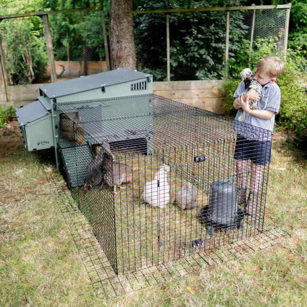 Moderner Hühnerstall aus Kunststoff mit angebautem Freilaufgehege aus Draht im Garten, inklusive Hühnern und Zubehör.