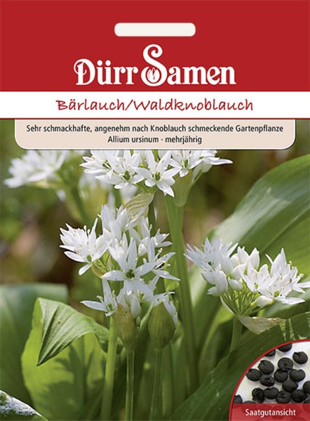 Samentüte Bärlauch von Dürr Samen, Abbildung von weißen Blüten, grünen Blättern und schwarzen Samen, Allium ursinum.