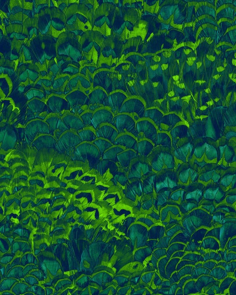 Abstrakter Hintergrund mit Federstruktur