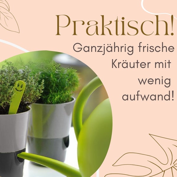 Kräutergarten mit Bewässerungssystem und Gießkanne für frische Kräuter