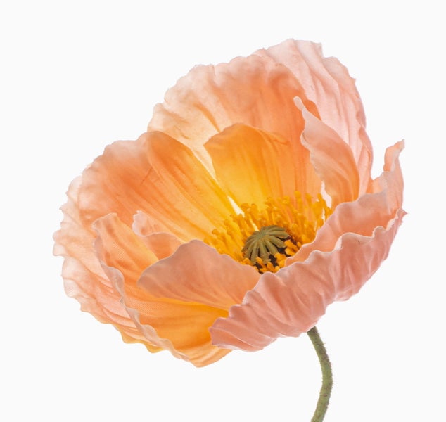 Künstliche weiße Begonie mit grünen Blättern.