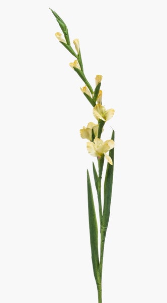 Künstliche Gladiole in Creme mit grünem Stiel und langen Blättern.