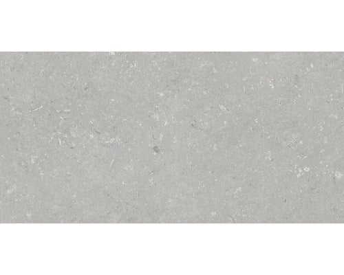 Wand- und Bodenfliese Shellstone grigio 60x120cm