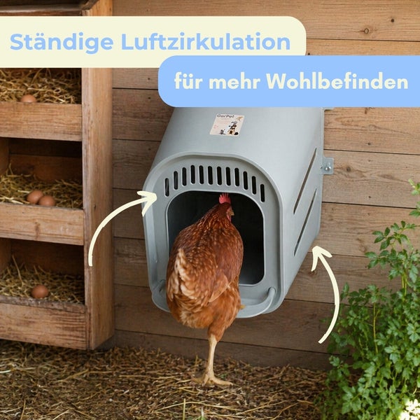 Hühnernest aus Kunststoff an einer Holzwand mit Belüftungsschlitzen für ständige Luftzirkulation und einem Huhn davor.