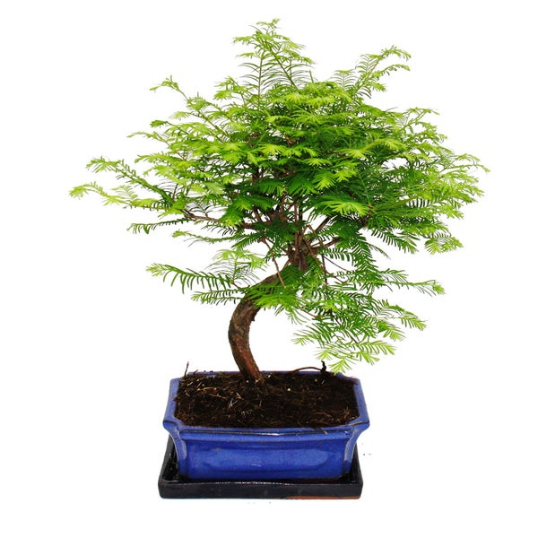 Gehrungslade aus Aluminium und Holz