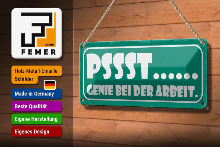 Blechschild Spruch 27x10cm PSSST Genie bei der Arbeit Dekoration