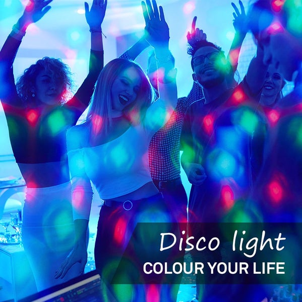 Großer Olivenbaum im Topf auf einer Palette in einer Baumschule, mit weiteren Olivenbäumen und einem Gewächshaus im Hintergrund.