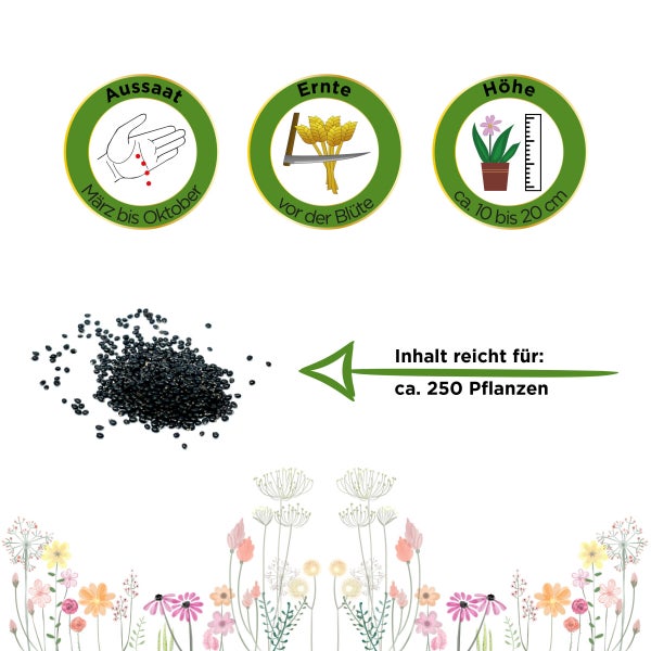 Winterpostelein Winterportulak Samen von Deine Gartenwelt