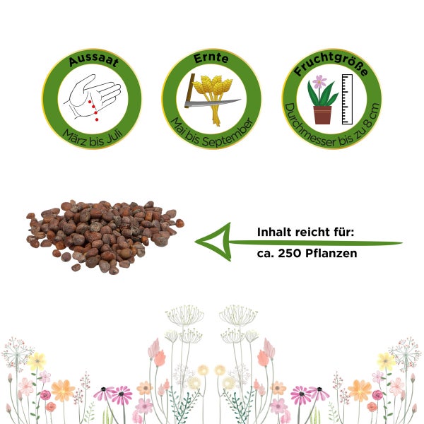 Radieschen Riesenbutter Samen von Deine Gartenwelt
