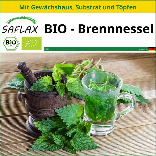 SAFLAX Anzucht Set - BIO - Brennnessel - Urtica dioica - 2000 Samen - Mit Mini-Gewächshaus, Anzuchtsubstrat und 2 Töpfen