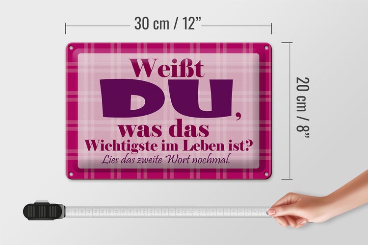 Blechschild Spruch 30x20cm Wichtigste bist DU