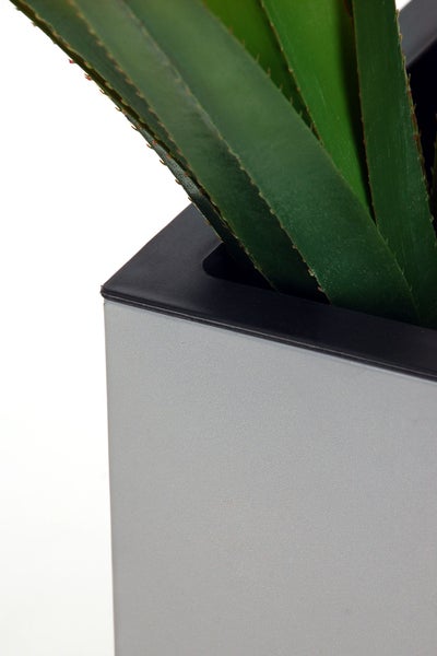 Nahaufnahme eines grauen eckigen Pflanzgefäßes mit den grünen Blättern einer Agave.