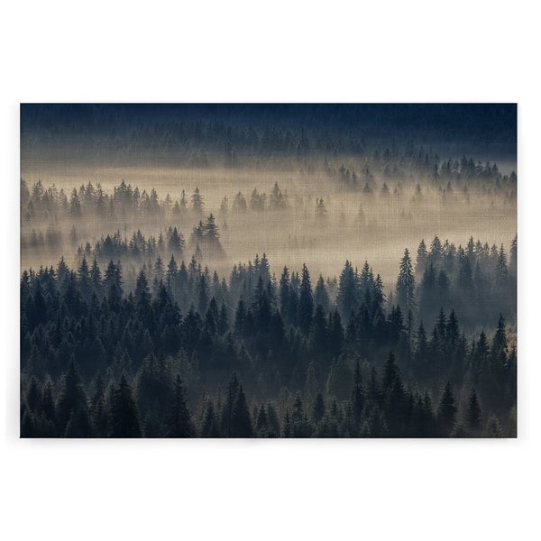 Wandbild mit Nadelwald und dichtem Nebel in einer natürlichen Waldlandschaft