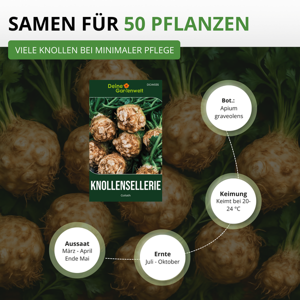 Knollensellerie-Samen Goliath, Deine Gartenwelt. Aussaat März bis April, Ernte Juli bis Oktober, Keimung bei 20 bis 24 Grad Celsius. Für 50 Pflanzen.