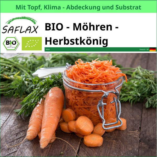 Saflax Bio Möhren Herbstkönig mit Topf, Klimaabdeckung und Substrat