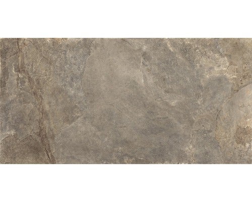 Wand- und Bodenfliese Schiefer taupe 60x120 cm