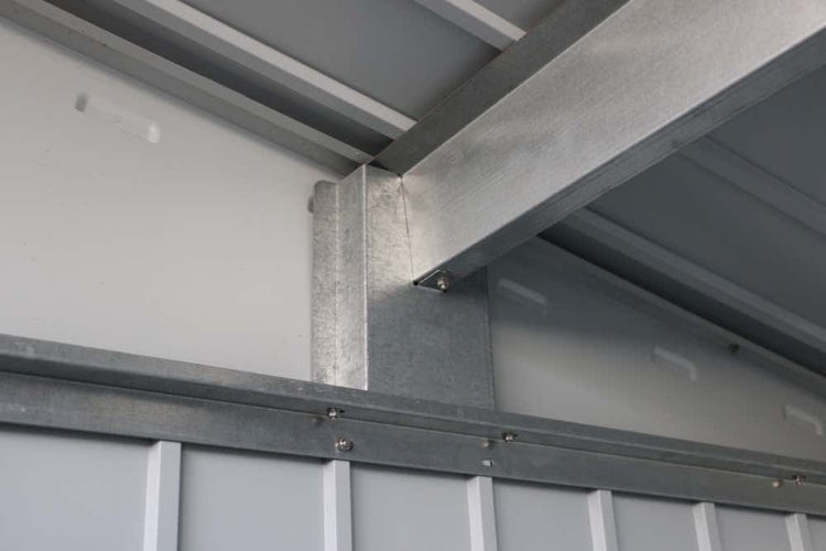 Olivenbaum im Topf mit dickem Stamm und dichter Krone vor einer Gewächshauswand.