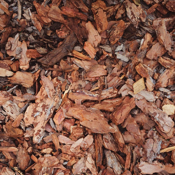 Nahaufnahme von Rindenmulch aus Nadelholz zur Bodenabdeckung.