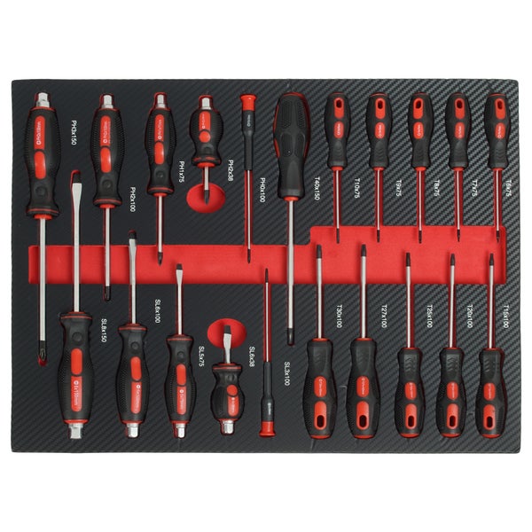 21-teiliges Schraubendreher-Set mit Kreuzschlitz-, Schlitz- und Torx-Schraubendrehern in einer Schaumstoffeinlage.