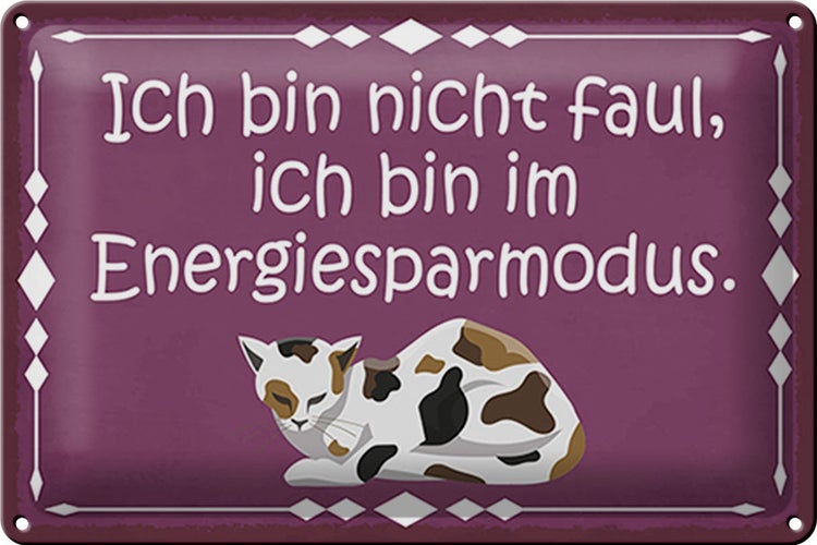 Blechschild Spruch 30x20cm Katze ich bin nicht faul bin im