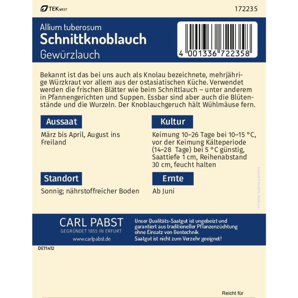 Schnittknoblauch mehrjährig & würzig Gewürzlauch Samen von Pabst Keimkraft