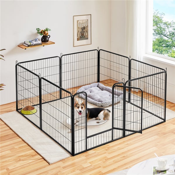 Hund liegt in einem Laufstall mit Tür, Hundebett und Futternapf in einem hellen Raum.