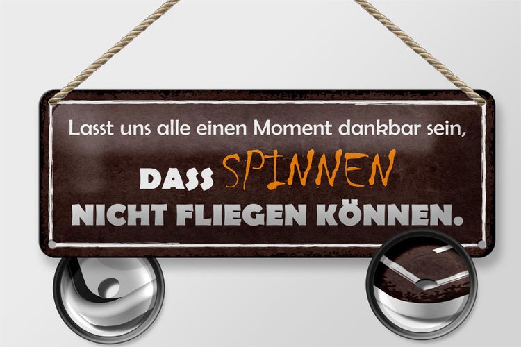 Blechschild Spruch 27x10cm Spinnen nicht fliegen können Dekoration