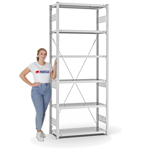 PROREGAL Fachbodenregal Stecksystem T-Profil Heavy-Duty Grundregal HxBxT 250 x 100 x 40 cm 6 Ebenen Fachlast 315 kg Einseitig Nutzbar Lichtgrau