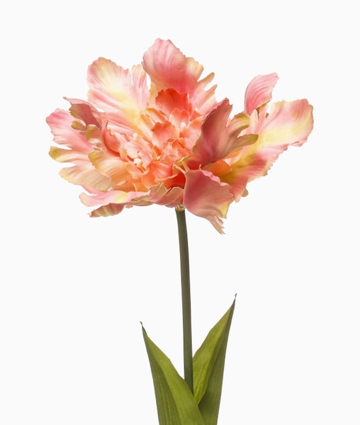 Künstliche Papageientulpe in Rosa und Orange mit langem Stiel und zwei grünen Blättern.