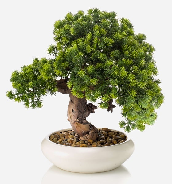 Künstlicher Bonsai in einer runden weißen Schale mit kleinen Steinen.