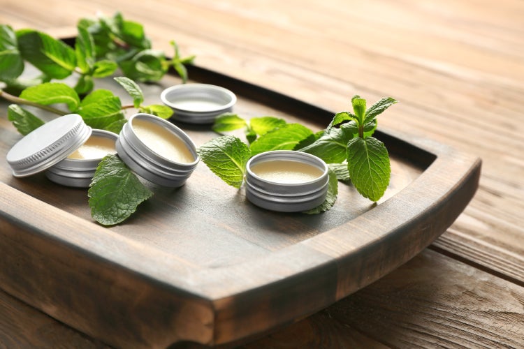 SAFLAX Geschenk Set - BIO - Zitronenmelisse - Melissa officinalis - 1000 Samen - Mit Geschenkbox, Versandaufkleber, Geschenkkarte und Anzuchtsubstrat