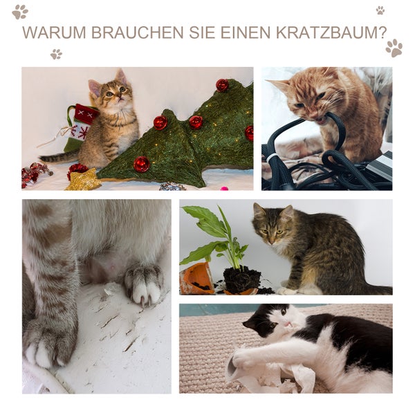 Collage mit Bildern von Katzen, die verschiedene Gegenstände beschädigen; Text: Warum brauchen Sie einen Kratzbaum?