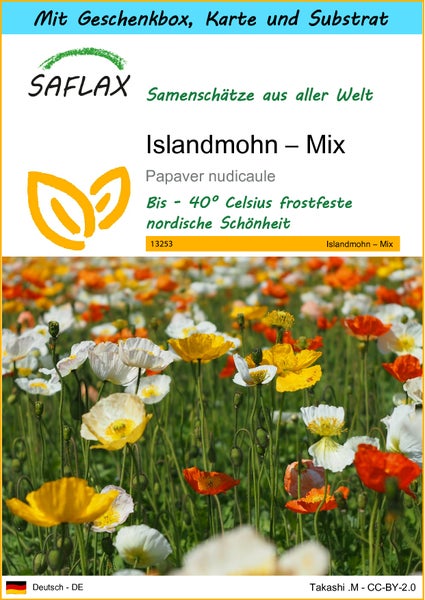 SAFLAX Geschenk Set - Islandmohn – Mix - Papaver nudicaule - 8000 Samen - Mit Geschenkbox, Versandaufkleber, Geschenkkarte und Anzuchtsubstrat