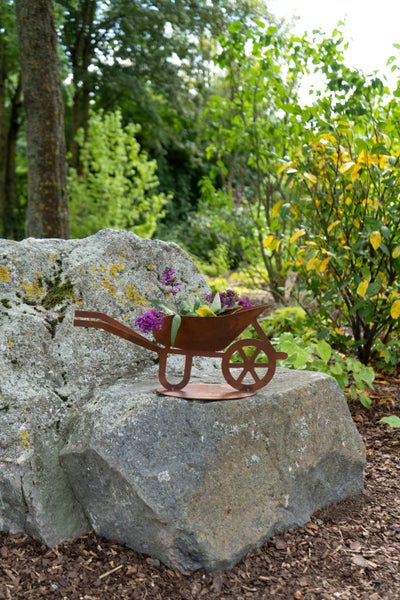 Dekorative Pflanzschubkarre in Rostoptik mit lila Blumen auf einem großen Stein im Garten.